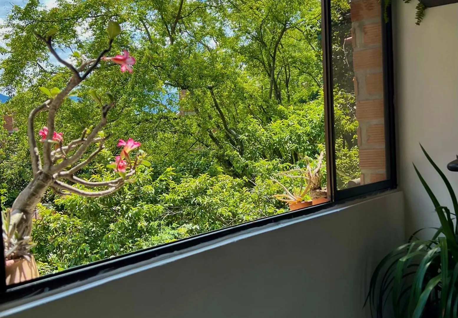 Apartamento Pantera Laureles Medellín Appartamento